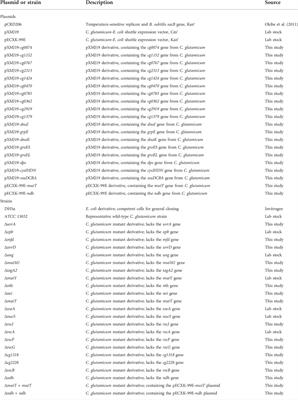 Transcriptome profiles of high-lysine adaptation reveal insights into osmotic stress response in Corynebacterium glutamicum